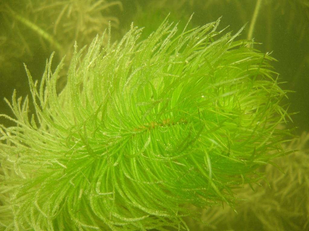2008-06-29 11-23-27 H.JPG